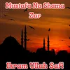 About Mustafa Na Shama Zar Song