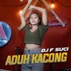 About Aduh Kacong Song