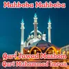 About Mahboba Mahboba Song