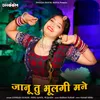 About Jaanu Tu Bhulgi Mane Song