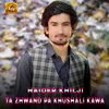 About Ta Zhwand Pa Khushali Kawa Song