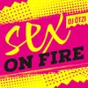 About Sex On Fire Song