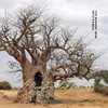 à l'ombre des baobabs