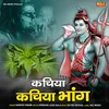 About Kachiya Kchiya Bhang Song