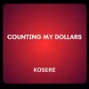 About Counting My Dollar Song