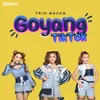 About Goyang Tik Tok Song