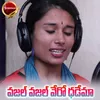 About Vazal Vazal Vero Dhadema Song