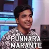 About PUNNARA MARANTE Song