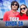 About Tiger Zinda Sa Song
