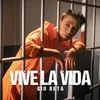 About Vive La Vida Song