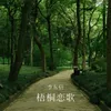 About 梧桐恋歌 Song