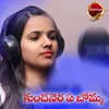 About Kundanera A Bomma Song