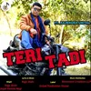 About Teri Tadi Song