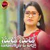 About Suda Suda Sudasakkani O Pilla Song