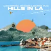 About Hills in LA Song