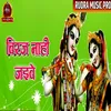 About Biraj Nahi Jaibe Song