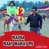 About Naina Na Manay Re Song
