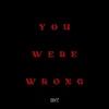 About You Were Wrong Song