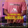 About Dj Simpang Limo Ninggal Janji Song