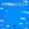 About 為什麽不回我消息 Song