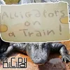 About Alligators on a Train Song