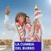 About La Cumbia del burro Song