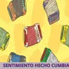 About Sentimiento hecho Cumbia Song