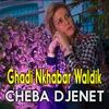 About Ghadi Nkhabar Waldik Song