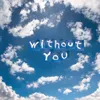 About Without you Song