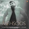 About Mehsoos Song