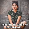 About Phool Nohe Gulab ke Instrumental Song