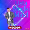 About Usta Słodki Miód Song