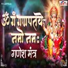About Om Gan Ganpate Namo Namah (Ganesh Mantra) Song
