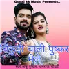 About चिकुडी चाली पुष्कर मेले Song