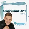 Senga Ngandung