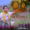 About HULGARIA Song