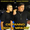 About Ce fanno asci' a 'mpazzi' Song