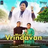 About Man Chal Vrindavan Song