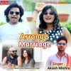 About Arrange Marriage Song