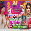 About Yadav Ji Pooja Kare Song