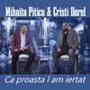 About Ca proasta l-am iertat Song