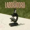 About Laboratorij Song