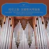 托卡塔，选自《第五交响曲》第五乐章 in F Minor, Op. 42 No. 1: V. Toccata