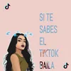 About Si te sabes el TikTok baila Song