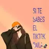 About Si te sabes el TikTok baila Song