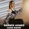 About Canım Mənim Song