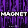 Magnet