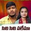 About Sili Sili Valema Song