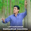 About Nangarhar Guloona Song