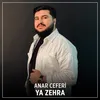 About Ya Zehra Song